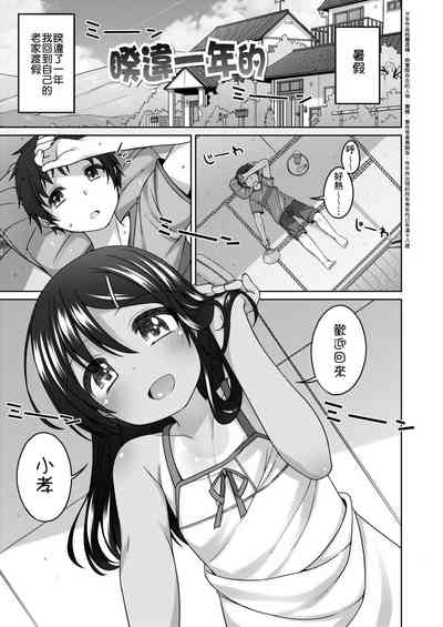 第49頁圖