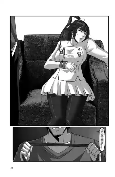 第17页图