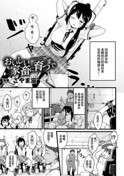 第1頁圖