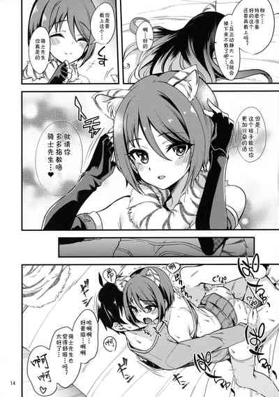 第13页图