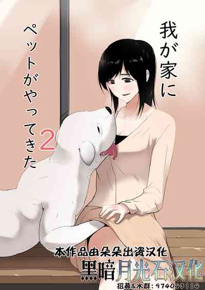 第1頁圖