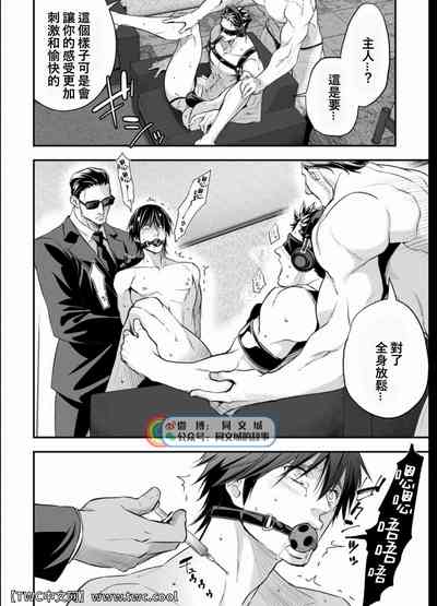 第41頁圖