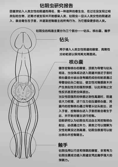 第289页图
