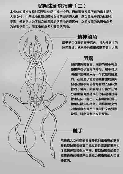 第293页图