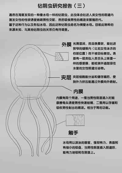 第313頁圖