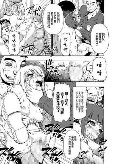 第17页图