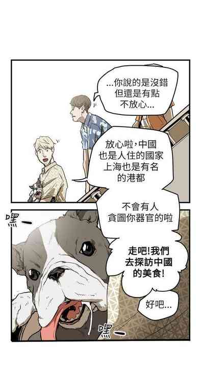第237頁圖
