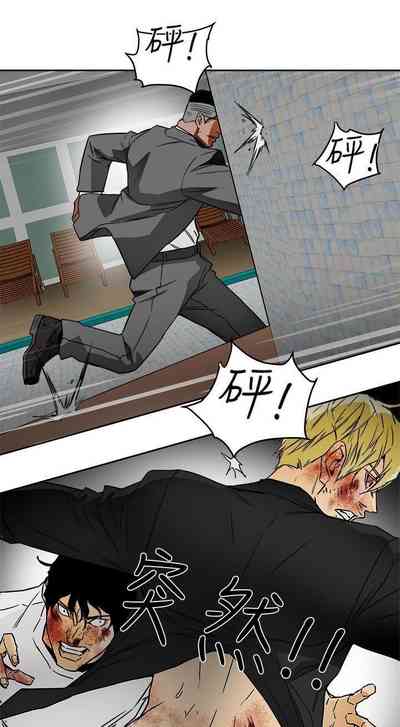 第493頁圖
