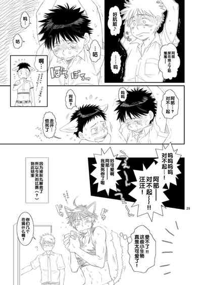 第29頁圖