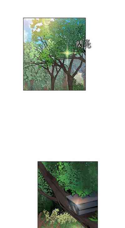 第41頁圖