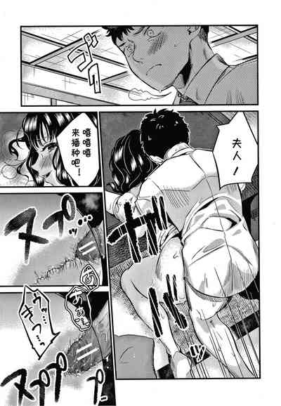 第17页图