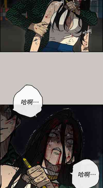 第241頁圖
