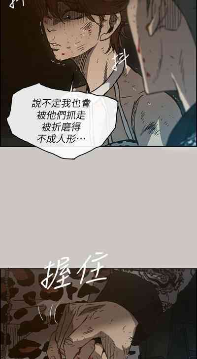 第305頁圖