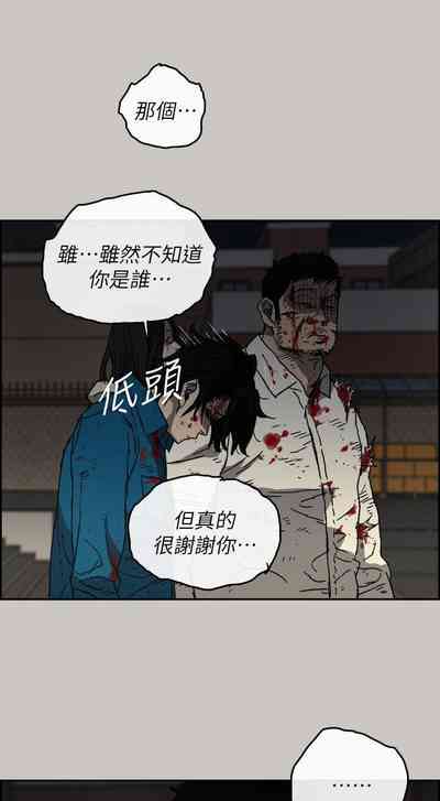 第333頁圖