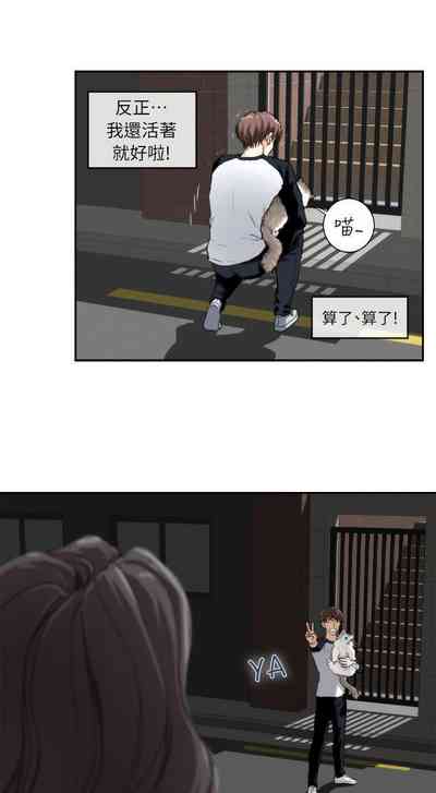 第33頁圖