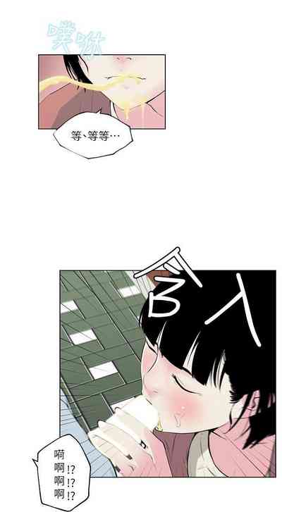 第29頁圖