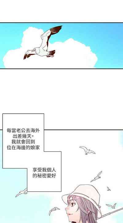 第29頁圖