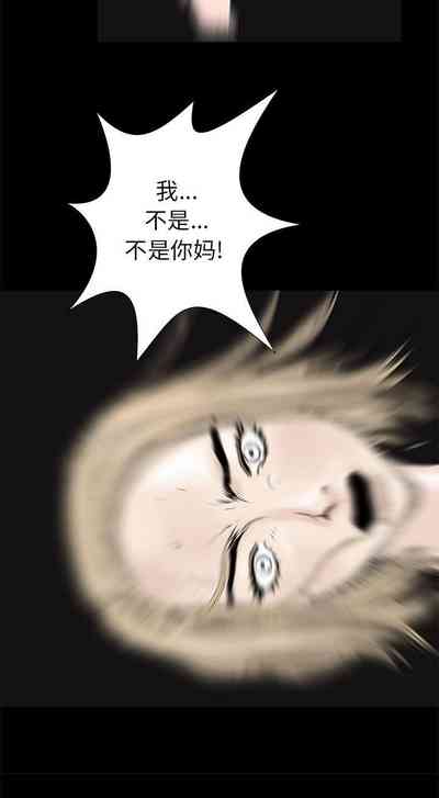 第233页图
