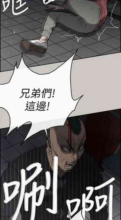 第333頁圖