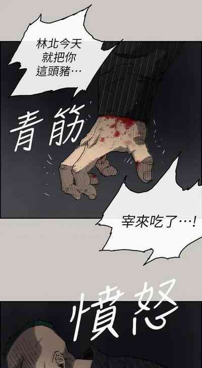 第337頁圖