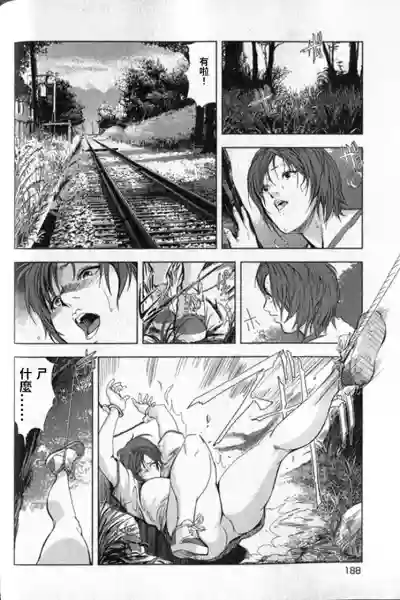 第189頁圖