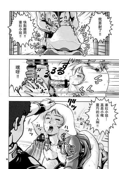 第17頁圖