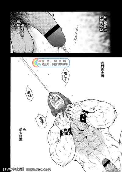 第25頁圖