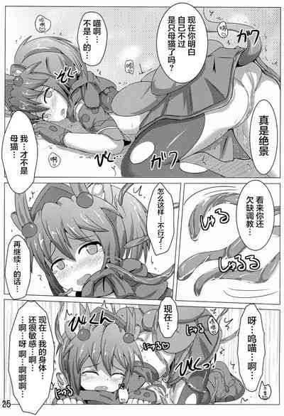 第25頁圖