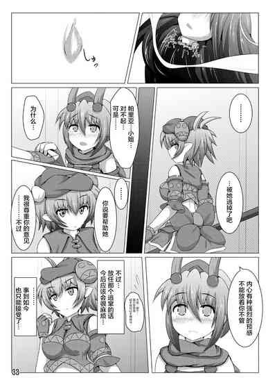 第33页图