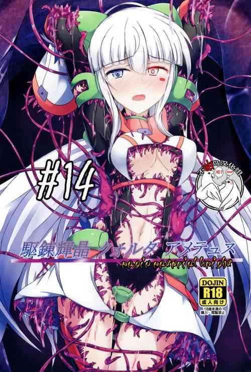 駆錬輝晶 クォルタ アメテュス #14圖