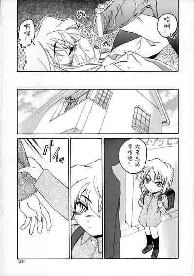 第29頁圖