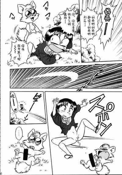 第49頁圖