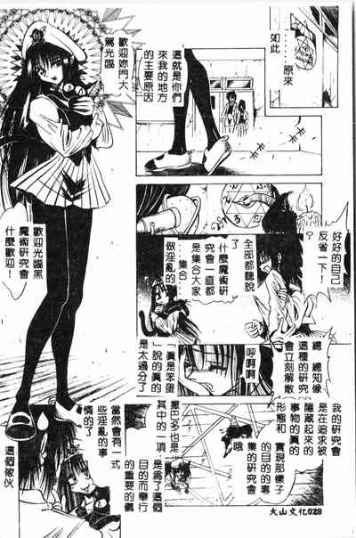 第29頁圖