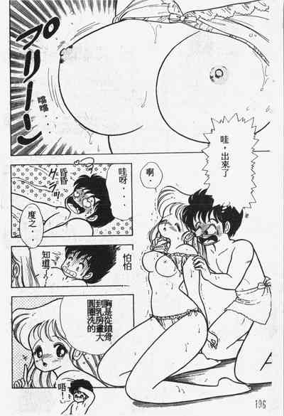 第197頁圖