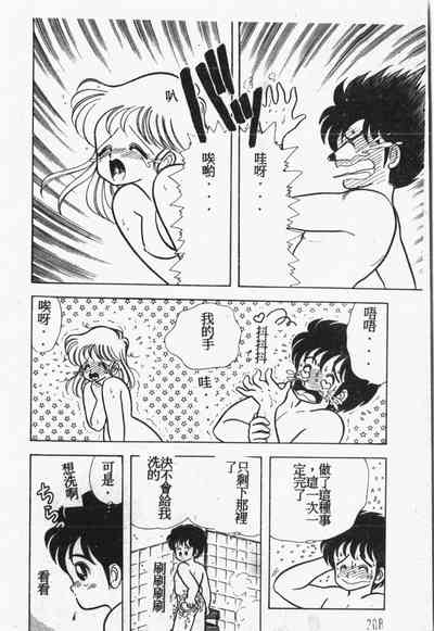 第209頁圖