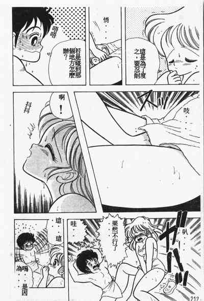 第213頁圖