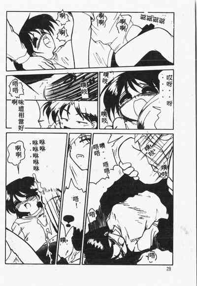 第29頁圖