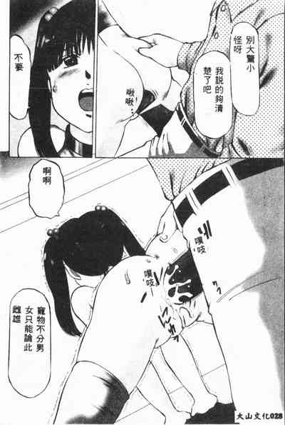 第29頁圖