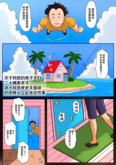 第21頁圖