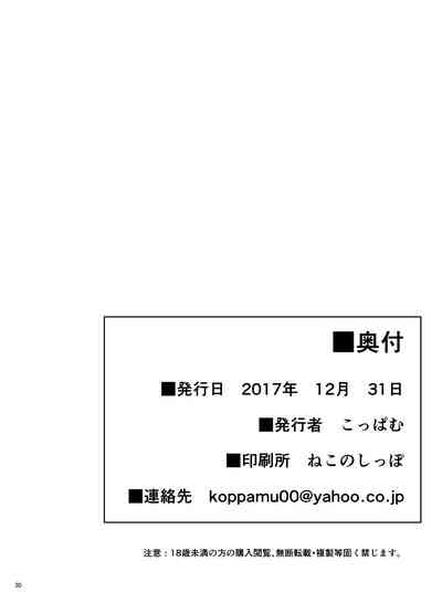 第29頁圖