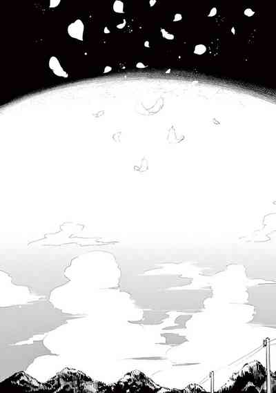 第225頁圖