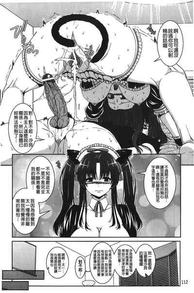 第113頁圖