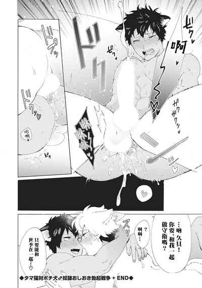 第113頁圖