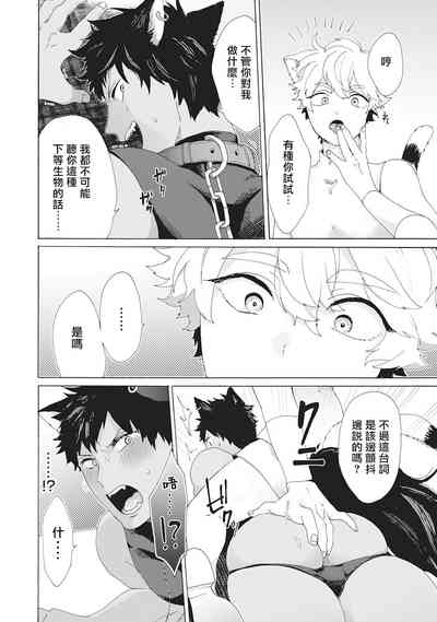 第97頁圖