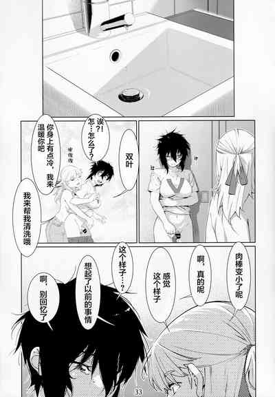 第33頁圖