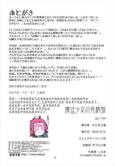 第29页图