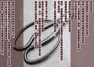 第113页图
