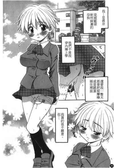 第37頁圖