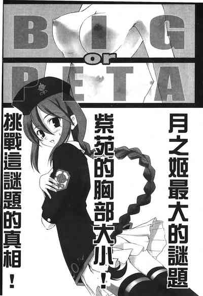 第137頁圖
