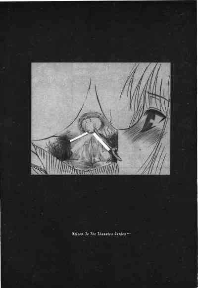 第45頁圖